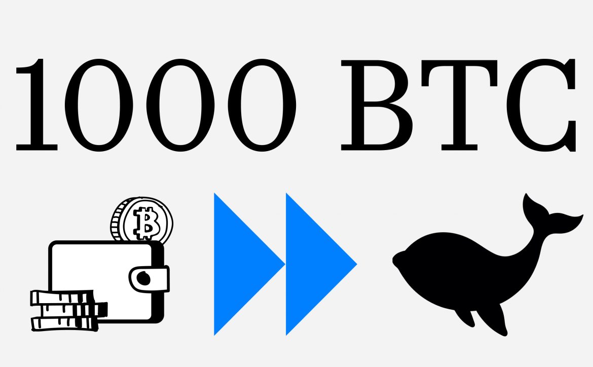 347580971331345